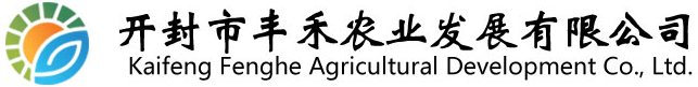 開(kāi)封菊花