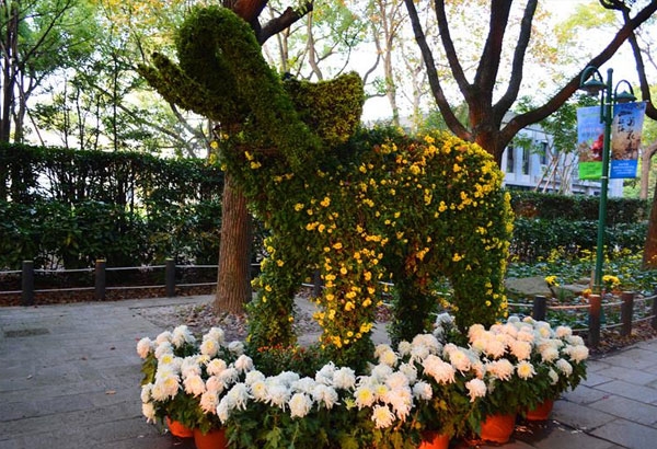 菊花造型