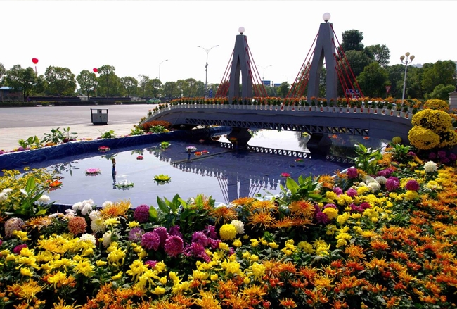 菊花展覽會(huì)布展